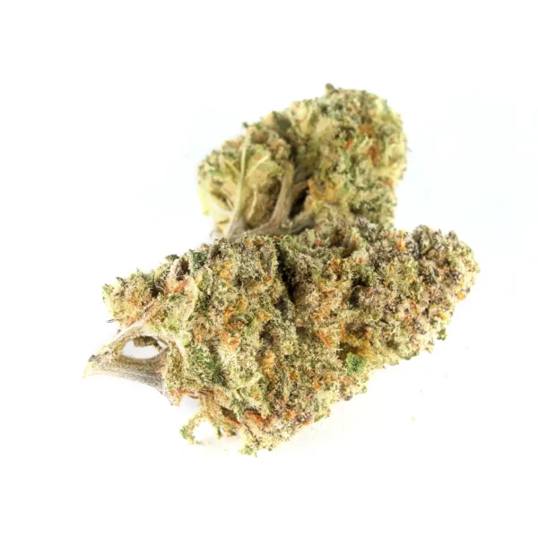 Mac Orignal hybrid indica