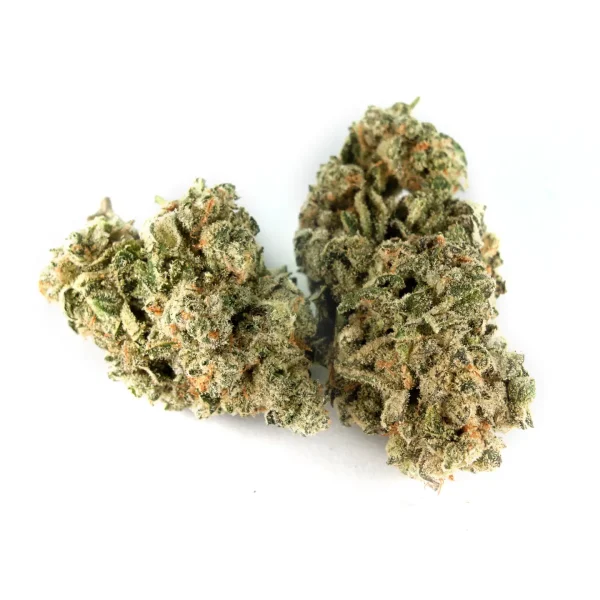 mountain mintz hybrid indica